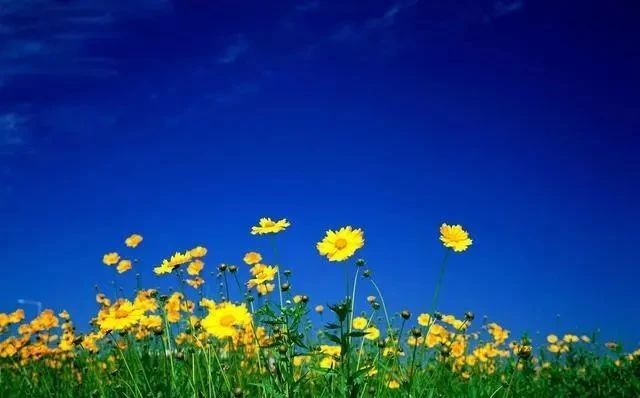 人间最美四月天