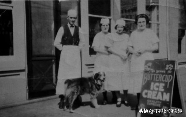 被称为“神奇的狗狗”：走失后踏遍千山万水，跨越4千公里终回家