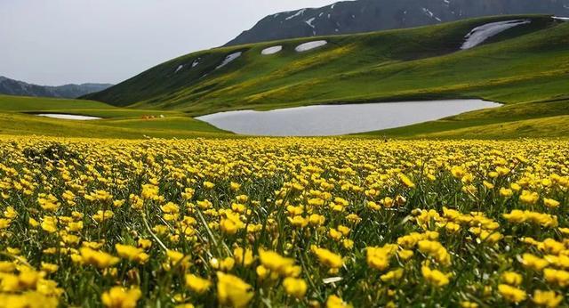 景色比肩喀拉峻！新疆又一条绝美徒步线路出炉