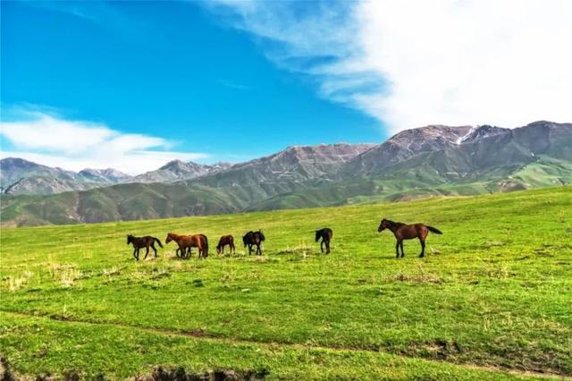 景色比肩喀拉峻！新疆又一条绝美徒步线路出炉