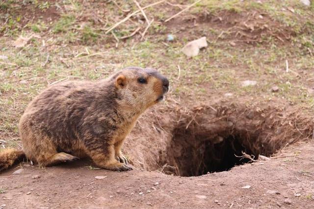 失恋后，我去了色达，在4000米海拔上高反2次，差点要凉！