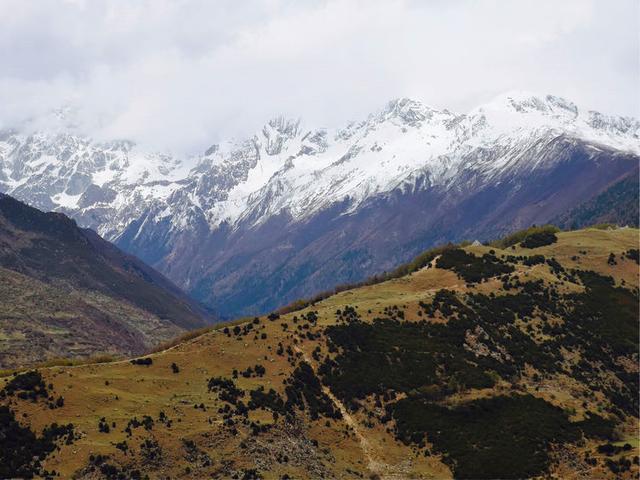 失恋后，我去了色达，在4000米海拔上高反2次，差点要凉！