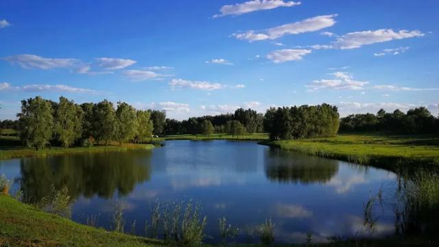 憋了这么久...露营才是彻底放纵一次的理由！