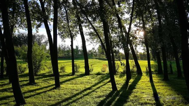 憋了这么久...露营才是彻底放纵一次的理由！