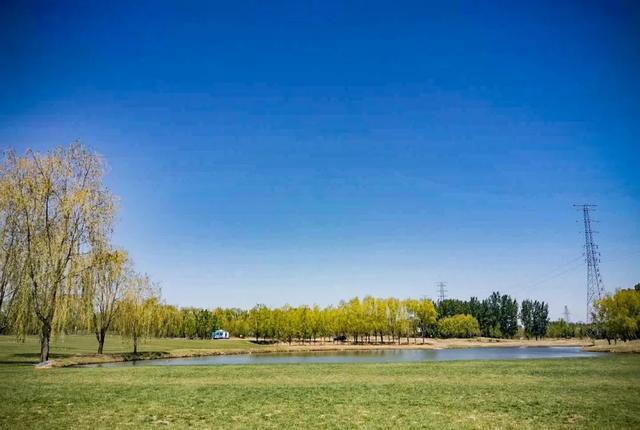 憋了这么久...露营才是彻底放纵一次的理由！