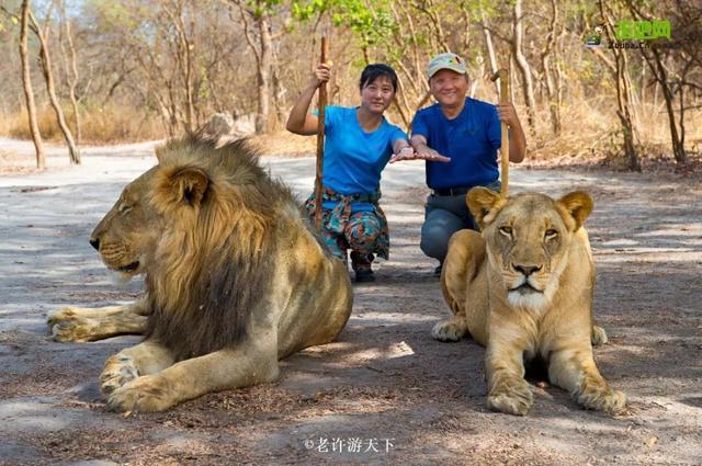 “宁愿死在路上，也不想死在病床上！”走遍世界，他们夫妇做到了