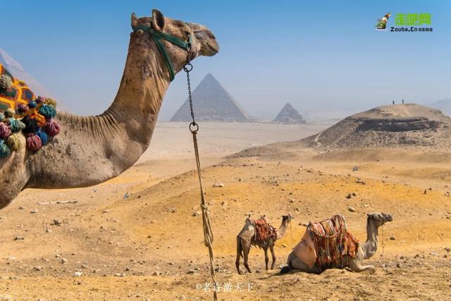 “宁愿死在路上，也不想死在病床上！”走遍世界，他们夫妇做到了