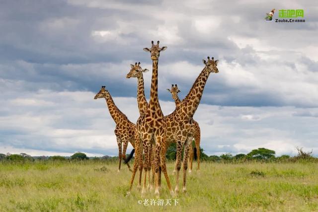 “宁愿死在路上，也不想死在病床上！”走遍世界，他们夫妇做到了