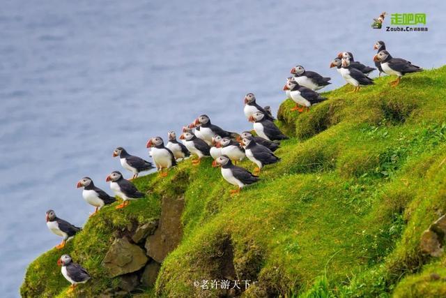 “宁愿死在路上，也不想死在病床上！”走遍世界，他们夫妇做到了