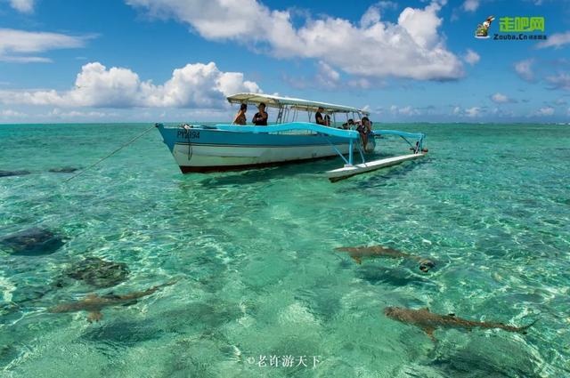 “宁愿死在路上，也不想死在病床上！”走遍世界，他们夫妇做到了