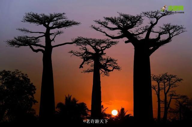 “宁愿死在路上，也不想死在病床上！”走遍世界，他们夫妇做到了