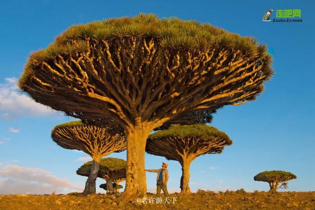 “宁愿死在路上，也不想死在病床上！”走遍世界，他们夫妇做到了