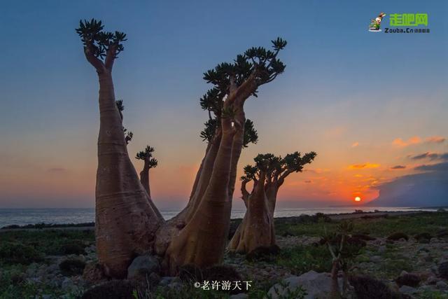 “宁愿死在路上，也不想死在病床上！”走遍世界，他们夫妇做到了
