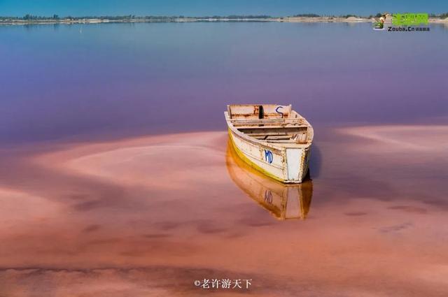 “宁愿死在路上，也不想死在病床上！”走遍世界，他们夫妇做到了