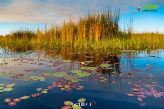 “宁愿死在路上，也不想死在病床上！”走遍世界，他们夫妇做到了
