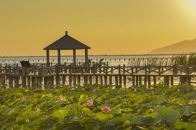 7000公里从北京到新疆，世界最长穿越沙漠的高速G7自驾详细攻略