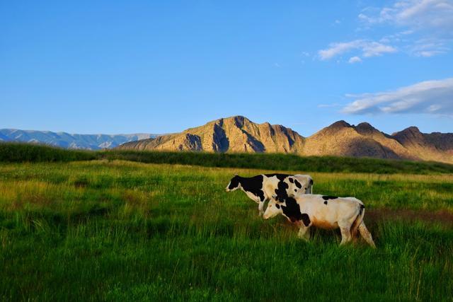 7000公里从北京到新疆，世界最长穿越沙漠的高速G7自驾详细攻略