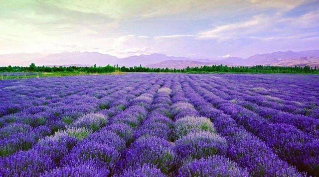 2020下半年旅行计划已帮你整理好，请签收