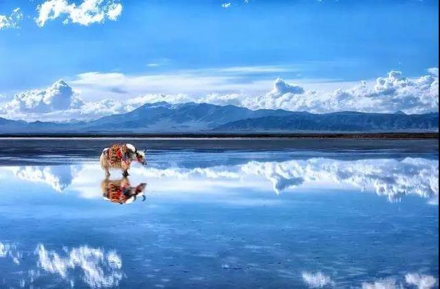 2020下半年旅行计划已帮你整理好，请签收