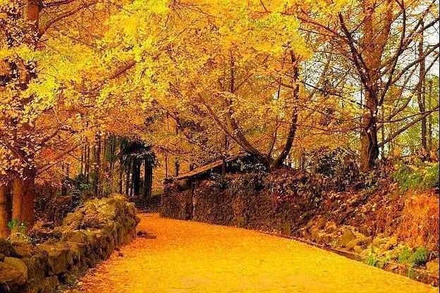 2020下半年旅行计划已帮你整理好，请签收