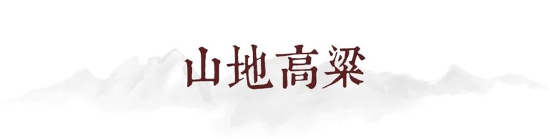 川南黔北：酒与粱的天作之合｜高粱记Ⅱ