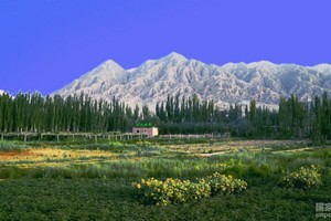 【品质出行】走独库全程穿越天山南北，逐梦伊犁草原，探寻南疆人文自然