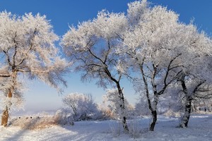 【视频】365户外雾凇岛拍摄