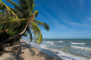 【南越~深度品质】走，这个冬天，去太平洋吹吹海风