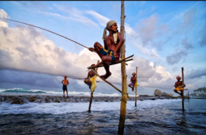 【自由、定制】去斯里兰卡，寻找《千与千寻》的梦境，看，锡兰的微笑。