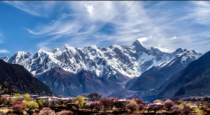 【川藏318桃花季】雪山、冰川、桃花、湖泊、峡谷、寺院·····中国最美景观大道深度行