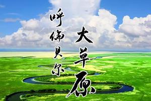 【避暑·大巴出行】一起去阿尔山、去最美呼伦贝尔大草原吧！