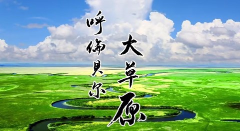 【避暑·大巴出行】一起去阿尔山、去最美呼伦贝尔大草原吧！
