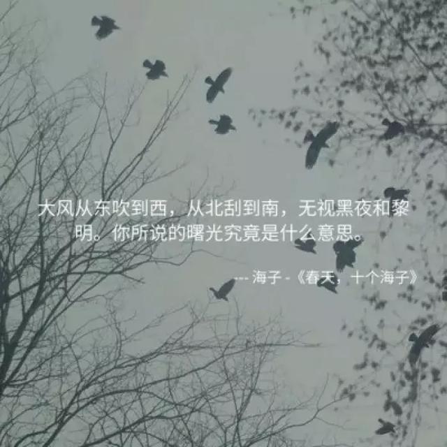 海子：10岁上高中，15岁考入北大，25岁卧轨自杀，留下9字遗言！