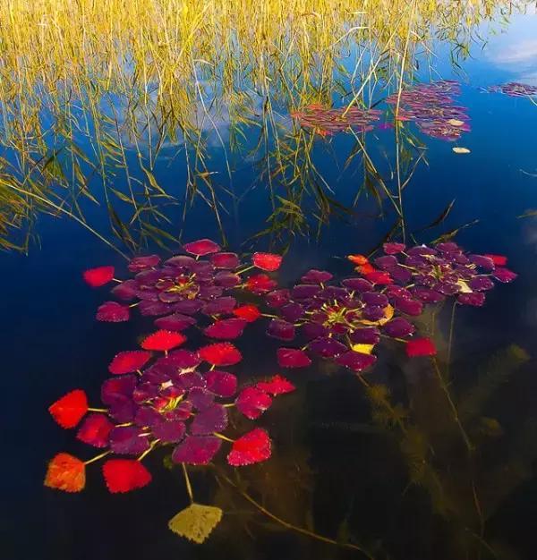 55张世间罕见照片，一眼万年！