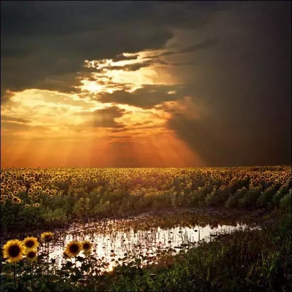 55张世间罕见照片，一眼万年！