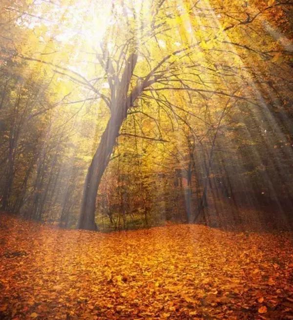 55张世间罕见照片，一眼万年！