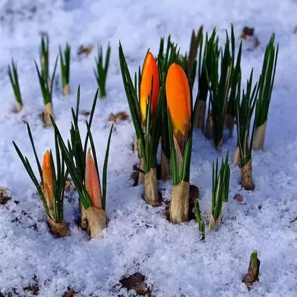 55张世间罕见照片，一眼万年！