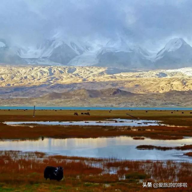 比独库传奇，比318纯粹，它才是中国最美公路No.1！却少有人知