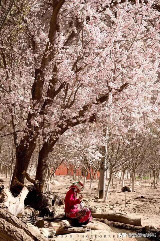 比独库传奇，比318纯粹，它才是中国最美公路No.1！却少有人知