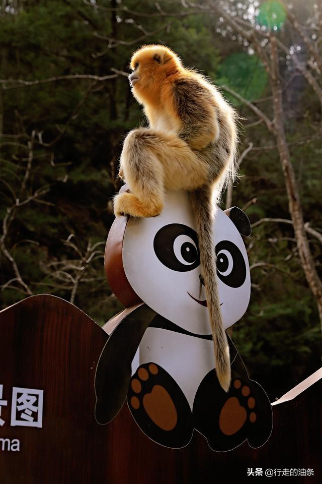 陕西佛坪：秦岭脚下的隐密胜地，世界旅游组织说这里最具旅游价值