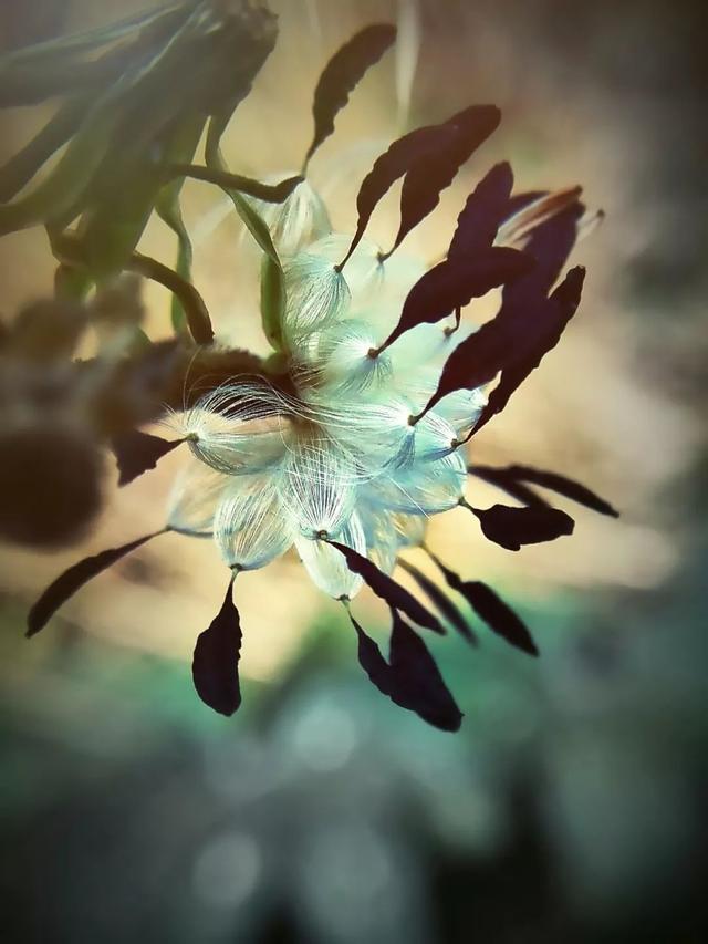 不懂这些拍法，手机再强大也白搭！