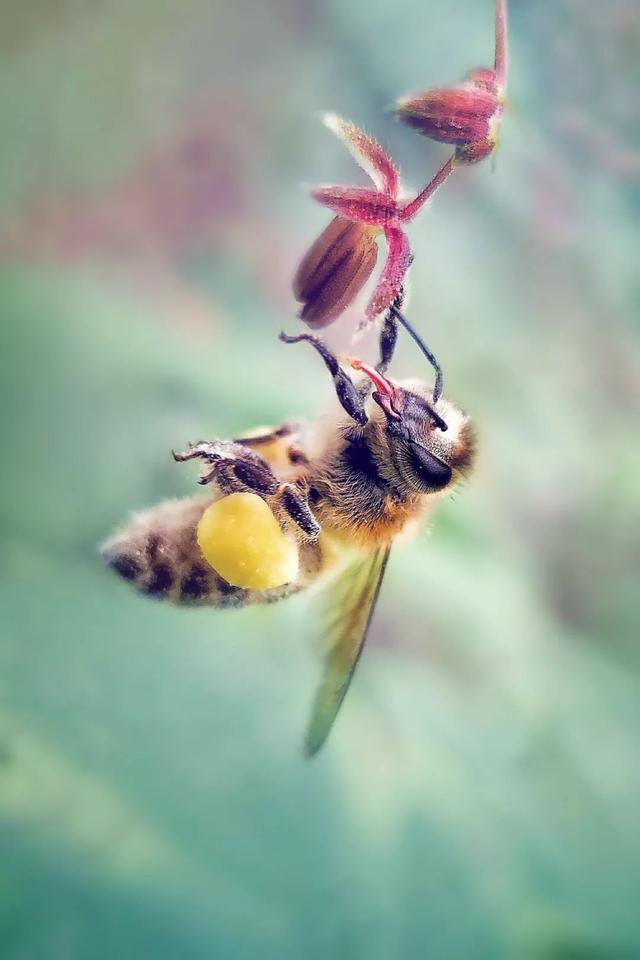 不懂这些拍法，手机再强大也白搭！