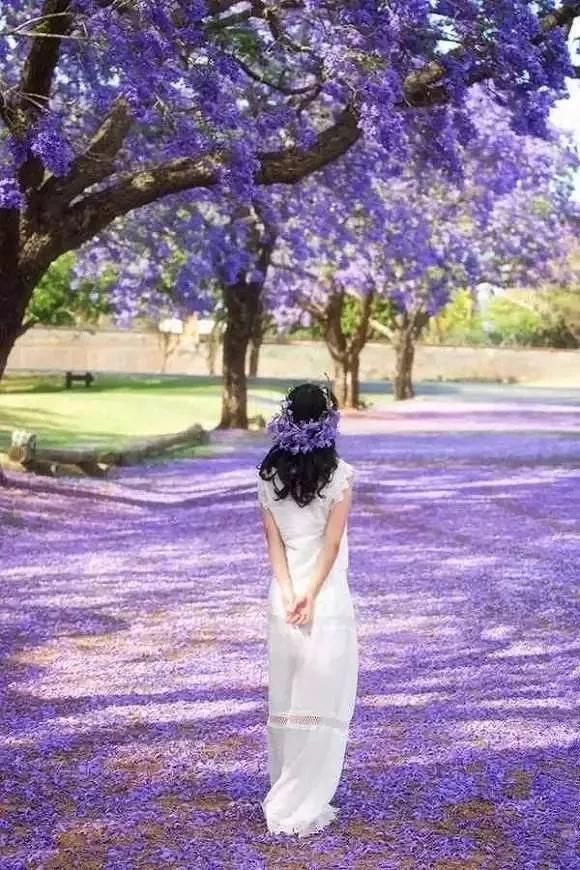 太美了！中国最值得旅游的地方！去了才知道！中国太奇妙......