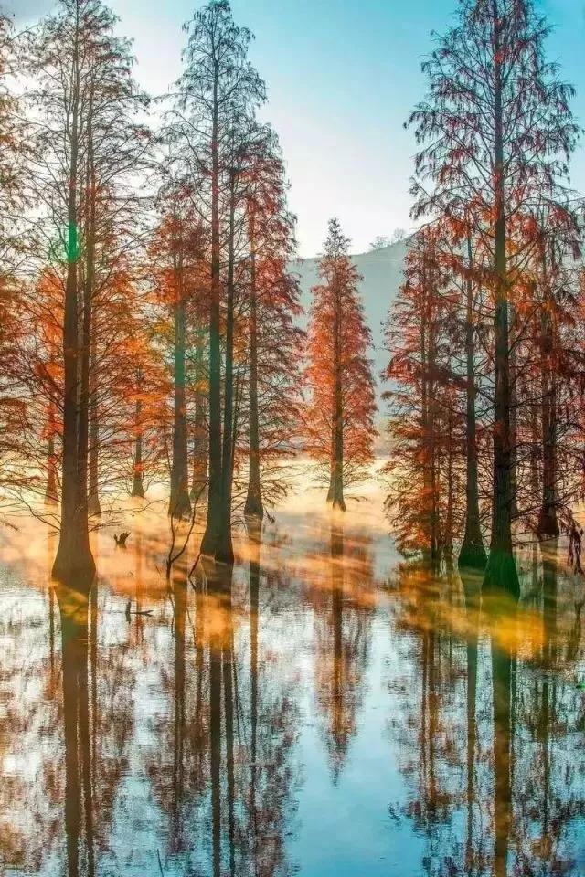 太美了！中国最值得旅游的地方！去了才知道！中国太奇妙......