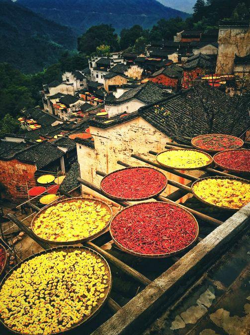 太美了！中国最值得旅游的地方！去了才知道！中国太奇妙......