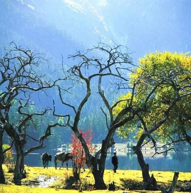 有一个远方，比西藏更西藏，那便是甘孜