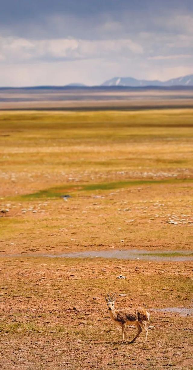 这个国内唯一敢叫板新疆、西藏的旅行地！是时候该火一次了