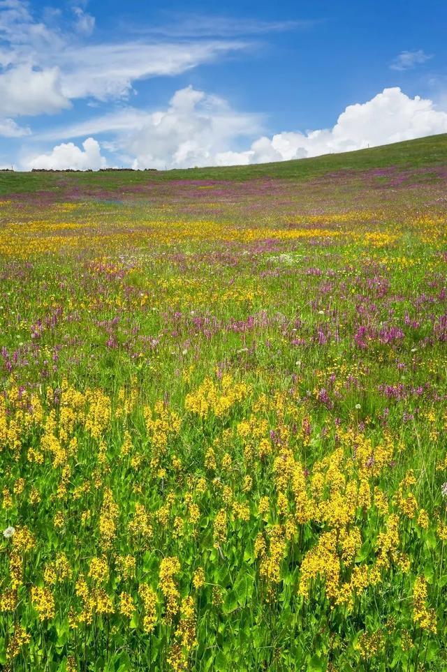 这个国内唯一敢叫板新疆、西藏的旅行地！是时候该火一次了