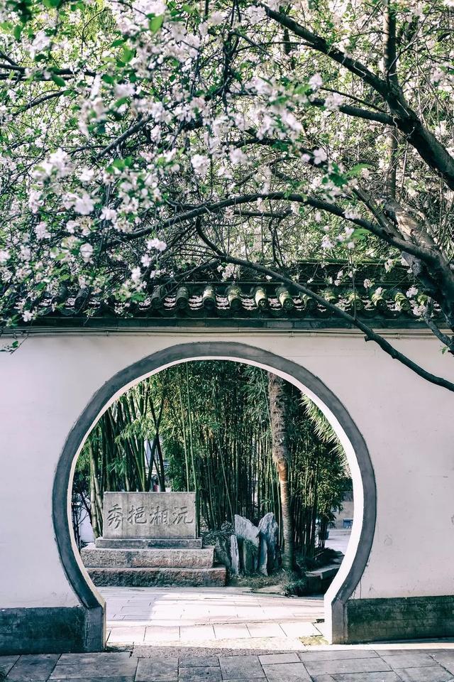 听都没听过，国内私藏的这些仙境，去过1个都算幸运了