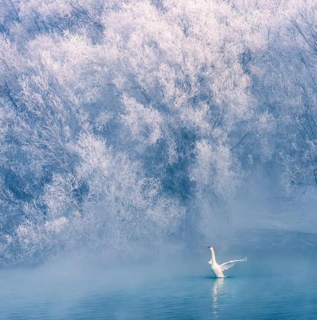 听都没听过，国内私藏的这些仙境，去过1个都算幸运了